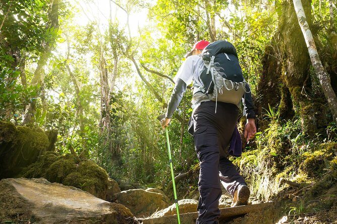 Templer Park and Kanching Waterfall Tour with Batu Caves Stopover - Who should book this tour, and who should skip it