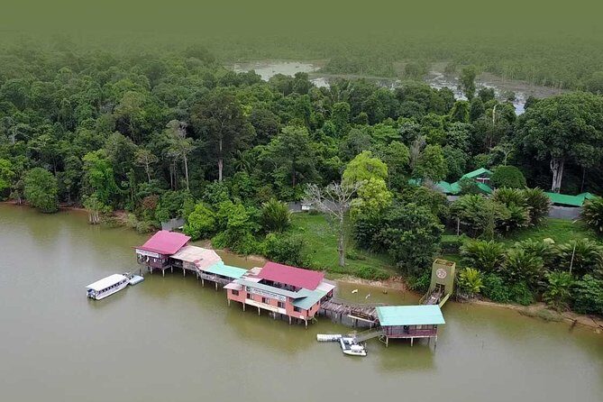 Wildlife & Wonders: Orang Utan Island + Perak Cave Temple Tour - Who This Tour Suits Best (and Who Might Prefer Something Else)